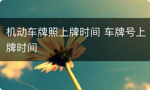 机动车牌照上牌时间 车牌号上牌时间