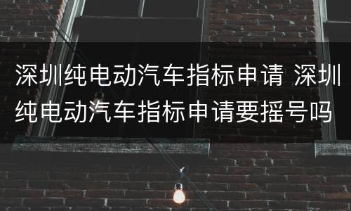 深圳纯电动汽车指标申请 深圳纯电动汽车指标申请要摇号吗