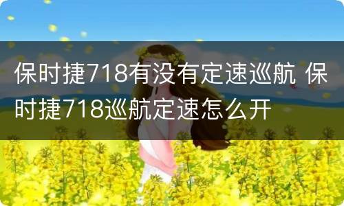保时捷718有没有定速巡航 保时捷718巡航定速怎么开