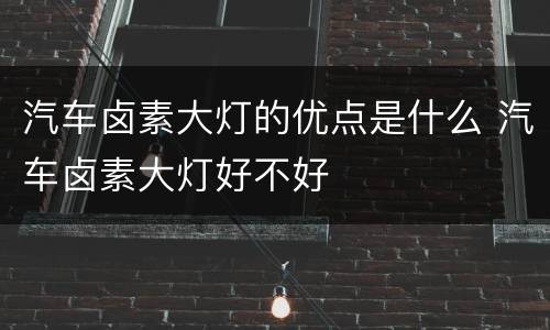 汽车卤素大灯的优点是什么 汽车卤素大灯好不好