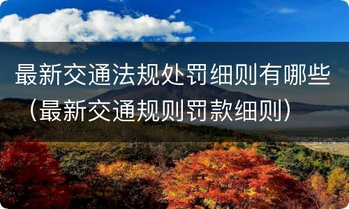 最新交通法规处罚细则有哪些（最新交通规则罚款细则）