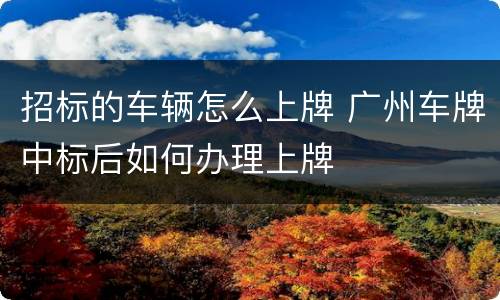 招标的车辆怎么上牌 广州车牌中标后如何办理上牌
