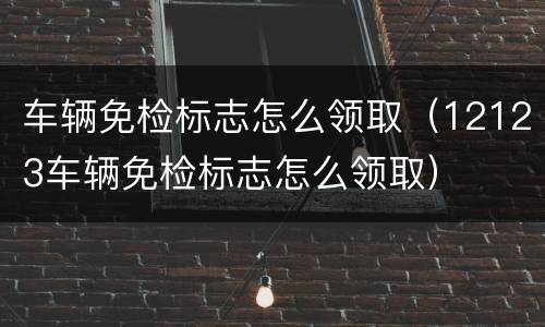 车辆免检标志怎么领取（12123车辆免检标志怎么领取）