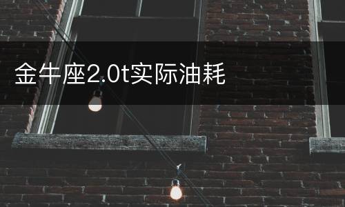 金牛座2.0t实际油耗