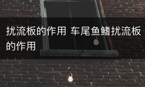 扰流板的作用 车尾鱼鳍扰流板的作用