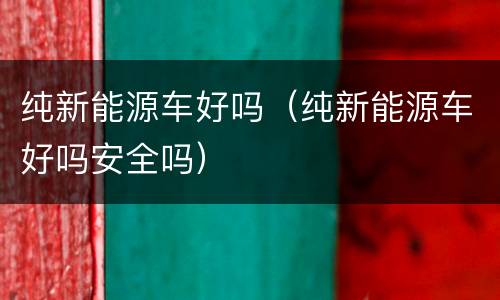 纯新能源车好吗（纯新能源车好吗安全吗）