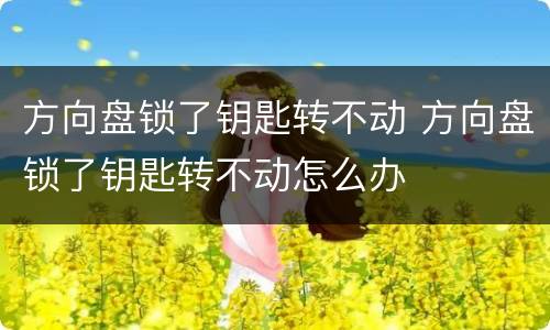 方向盘锁了钥匙转不动 方向盘锁了钥匙转不动怎么办