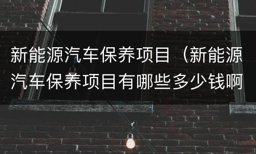新能源汽车保养项目（新能源汽车保养项目有哪些多少钱啊）