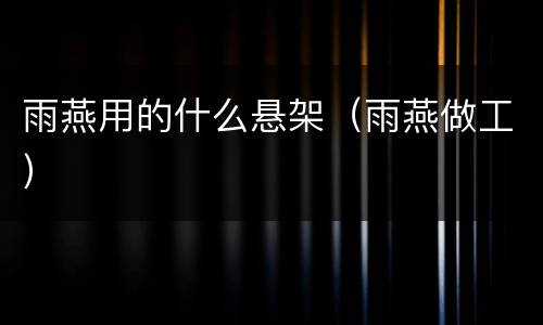 雨燕用的什么悬架（雨燕做工）