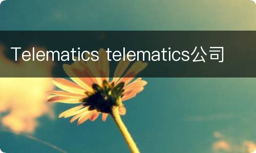 Telematics telematics公司