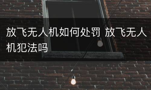 放飞无人机如何处罚 放飞无人机犯法吗