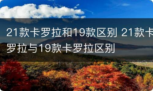 21款卡罗拉和19款区别 21款卡罗拉与19款卡罗拉区别