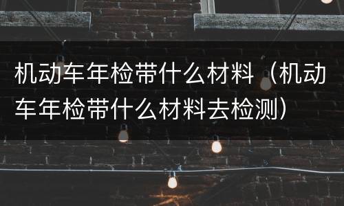 机动车年检带什么材料（机动车年检带什么材料去检测）