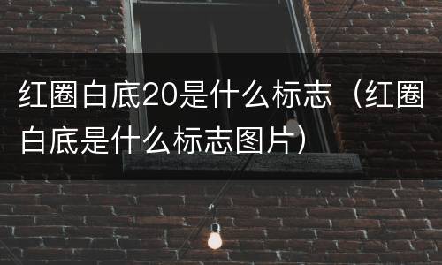 红圈白底20是什么标志（红圈白底是什么标志图片）