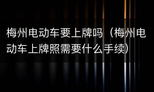 梅州电动车要上牌吗（梅州电动车上牌照需要什么手续）
