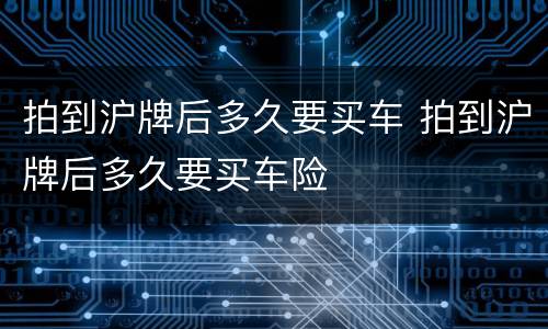 拍到沪牌后多久要买车 拍到沪牌后多久要买车险