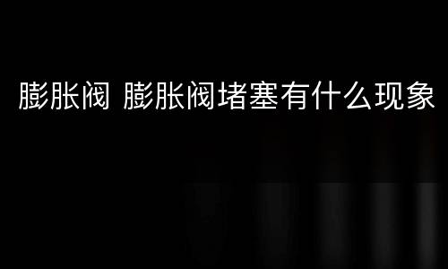 膨胀阀 膨胀阀堵塞有什么现象