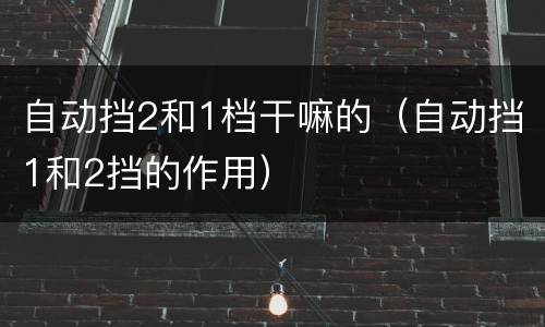 自动挡2和1档干嘛的（自动挡1和2挡的作用）