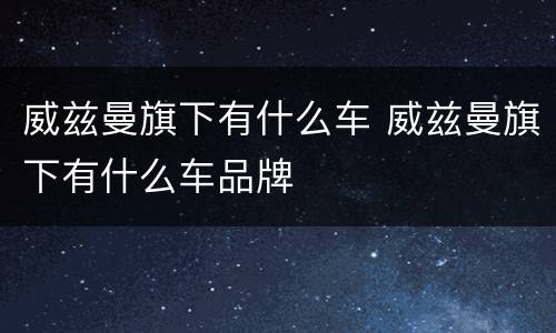 威兹曼旗下有什么车 威兹曼旗下有什么车品牌