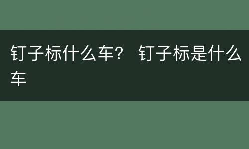 钉子标什么车？ 钉子标是什么车