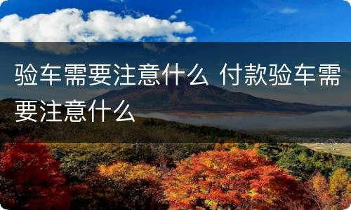 验车需要注意什么 付款验车需要注意什么