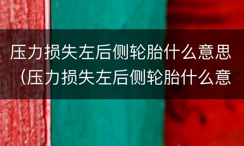 压力损失左后侧轮胎什么意思（压力损失左后侧轮胎什么意思 怎么解决）