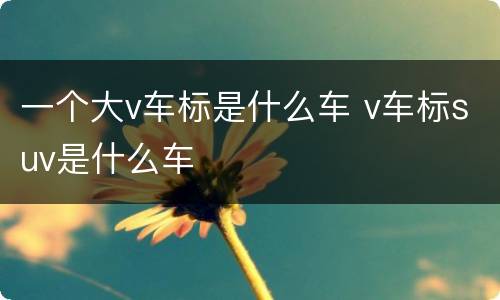 一个大v车标是什么车 v车标suv是什么车