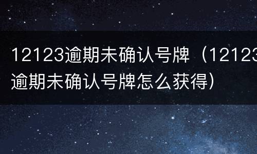 12123逾期未确认号牌（12123逾期未确认号牌怎么获得）