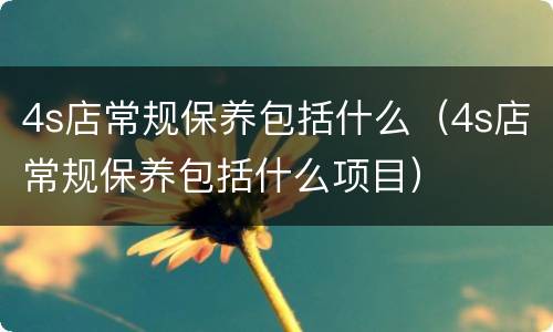 4s店常规保养包括什么（4s店常规保养包括什么项目）