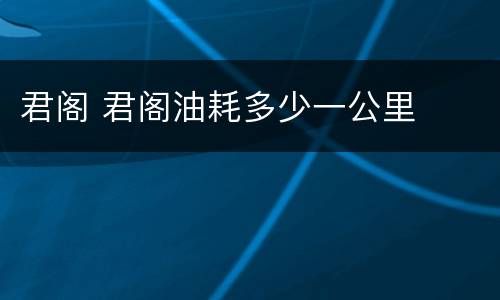 君阁 君阁油耗多少一公里
