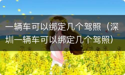 一辆车可以绑定几个驾照（深圳一辆车可以绑定几个驾照）