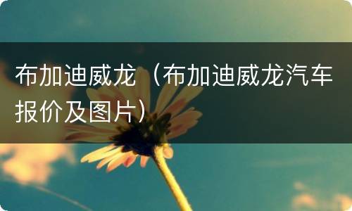 布加迪威龙（布加迪威龙汽车报价及图片）