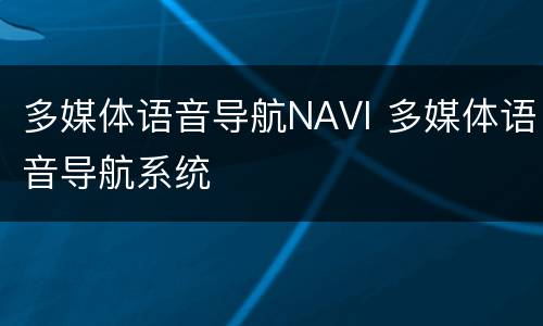 多媒体语音导航NAVI 多媒体语音导航系统