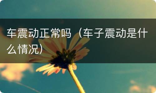 车震动正常吗（车子震动是什么情况）