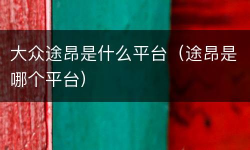 大众途昂是什么平台（途昂是哪个平台）