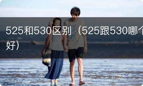 525和530区别（525跟530哪个好）