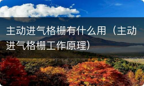 主动进气格栅有什么用（主动进气格栅工作原理）
