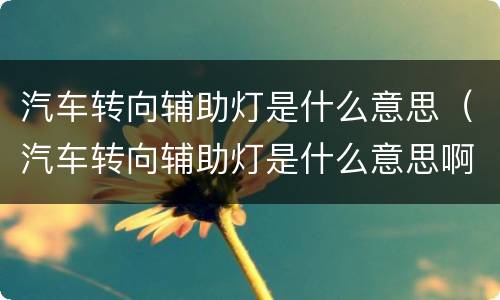 汽车转向辅助灯是什么意思（汽车转向辅助灯是什么意思啊）