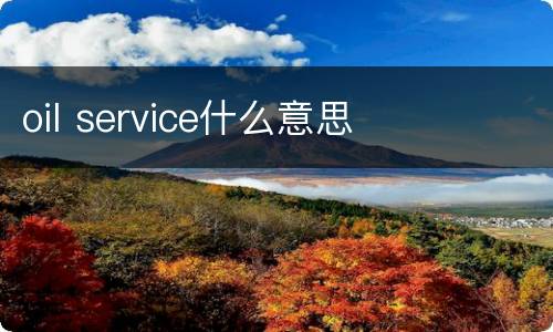 oil service什么意思