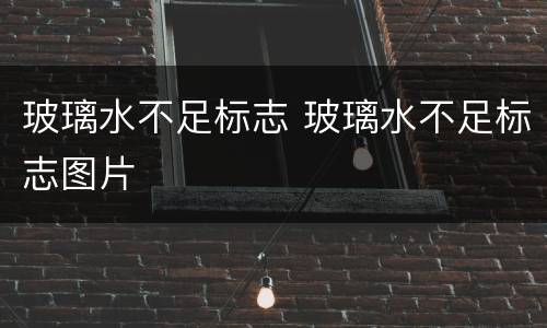 玻璃水不足标志 玻璃水不足标志图片