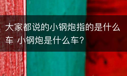 大家都说的小钢炮指的是什么车 小钢炮是什么车?