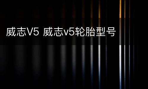 威志V5 威志v5轮胎型号