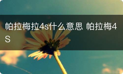 帕拉梅拉4s什么意思 帕拉梅4S