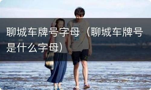 聊城车牌号字母（聊城车牌号是什么字母）