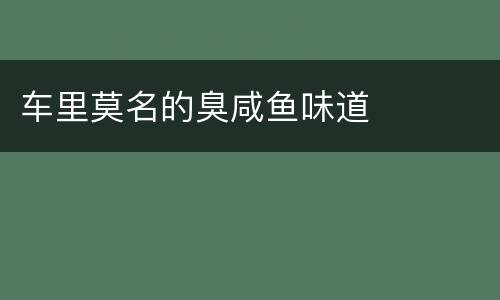 车里莫名的臭咸鱼味道