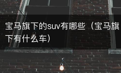 宝马旗下的suv有哪些（宝马旗下有什么车）