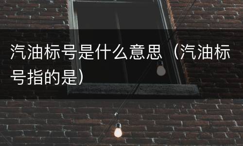 汽油标号是什么意思（汽油标号指的是）