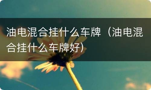 油电混合挂什么车牌（油电混合挂什么车牌好）