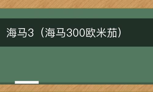 海马3（海马300欧米茄）
