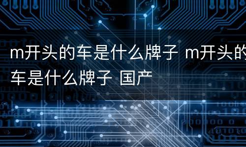 m开头的车是什么牌子 m开头的车是什么牌子 国产